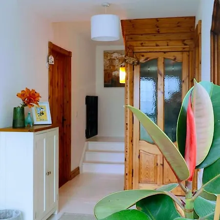 Happy Hill יוגאל